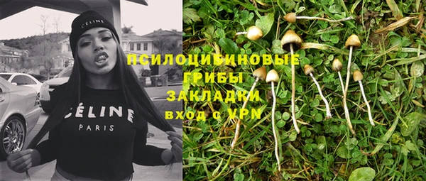гидропоника Абаза