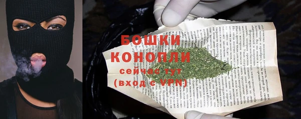 гидропоника Абаза
