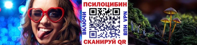 darknet состав  Новая Усмань  Псилоцибиновые грибы мицелий  omg рабочий сайт 