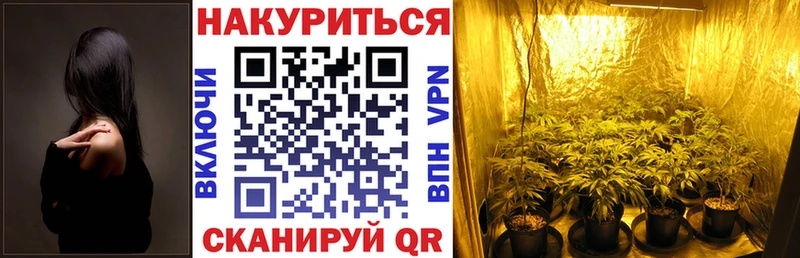 Каннабис конопля Новая Усмань
